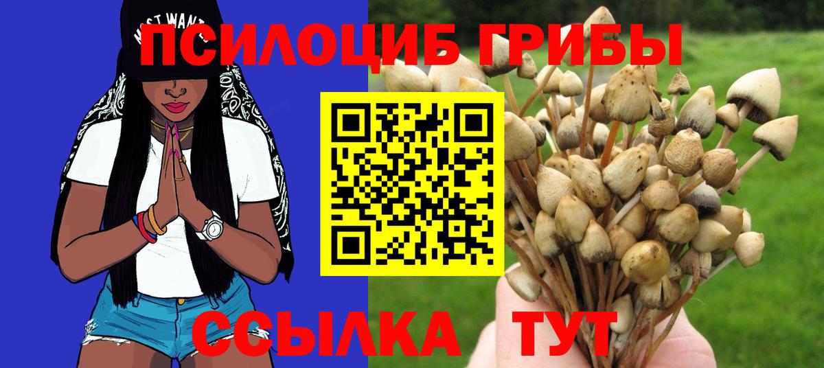 Псилоцибиновые грибы Magic Shrooms  Псилоцибиновые грибы мицелий  цена наркотик  Вход с VPN  Полысаево 